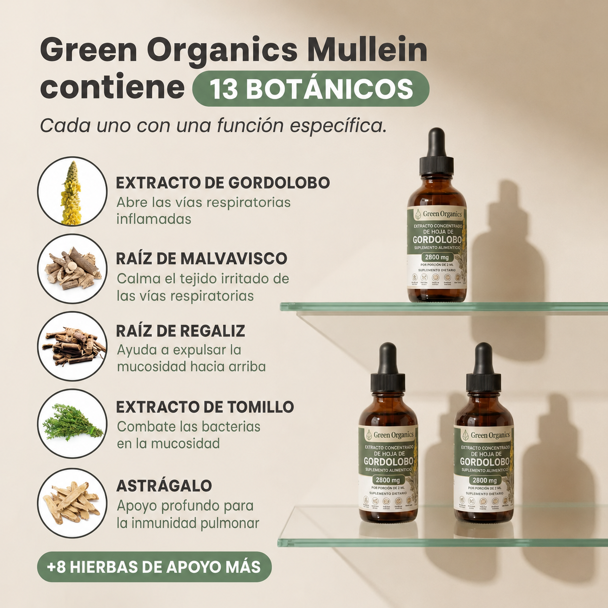 Gotas de Mullein Green Organics | Alivio Respiratorio Natural