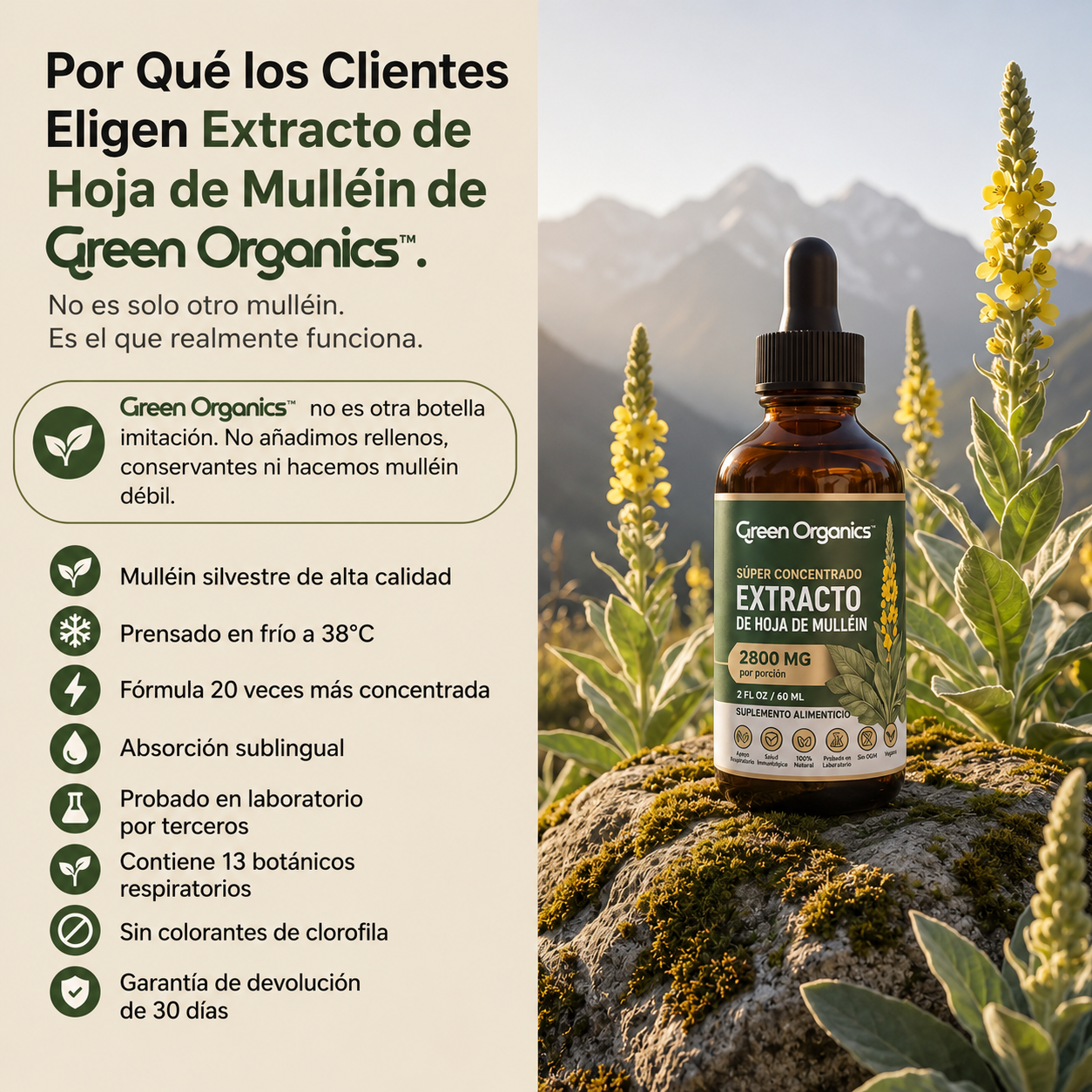 Gotas de Mullein Green Organics | Alivio Respiratorio Natural