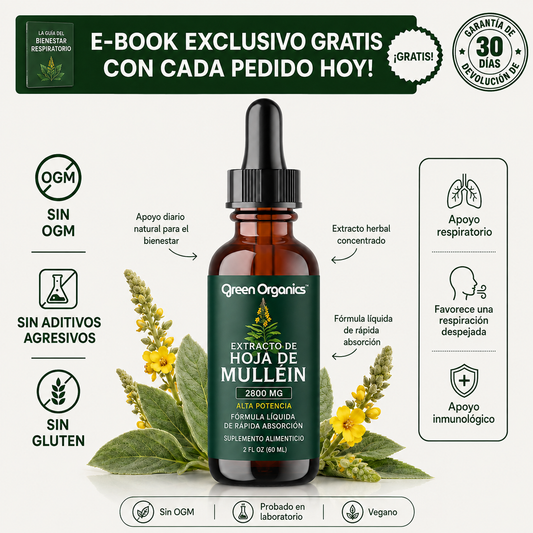 Gotas de Mullein + Clorofila Green Organics | Alivio Respiratorio Natural