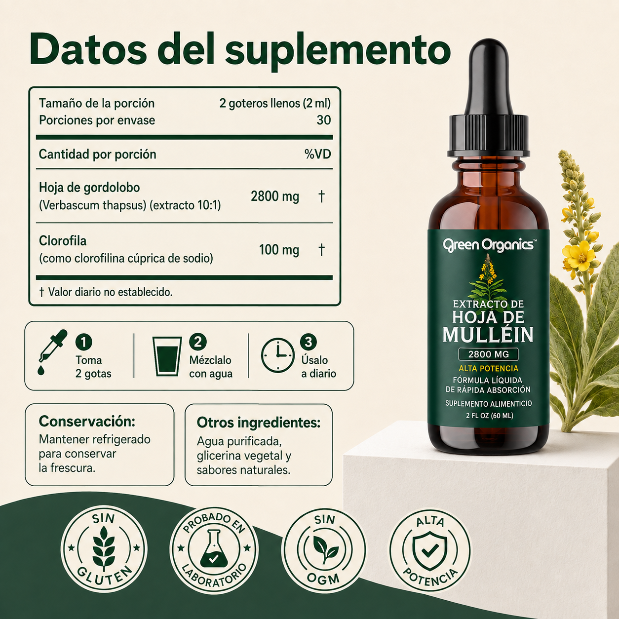 Gotas de Mullein + Clorofila Green Organics | Alivio Respiratorio Natural