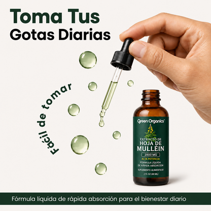 Gotas de Mullein + Clorofila Green Organics | Alivio Respiratorio Natural