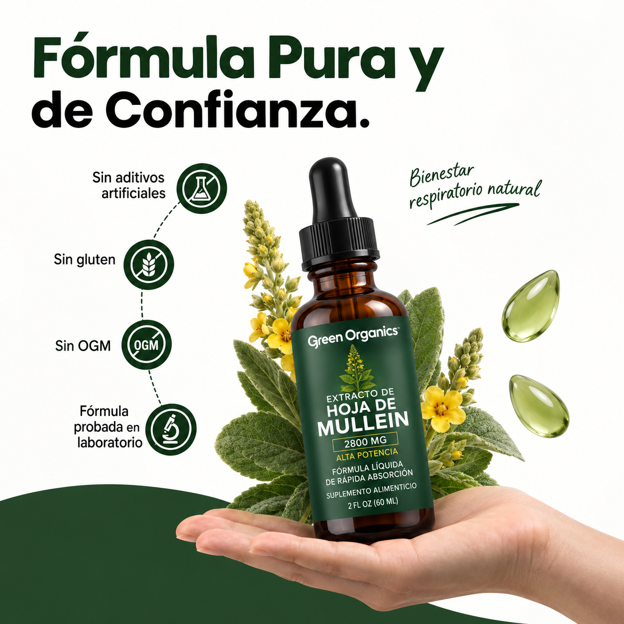 Gotas de Mullein + Clorofila Green Organics | Alivio Respiratorio Natural